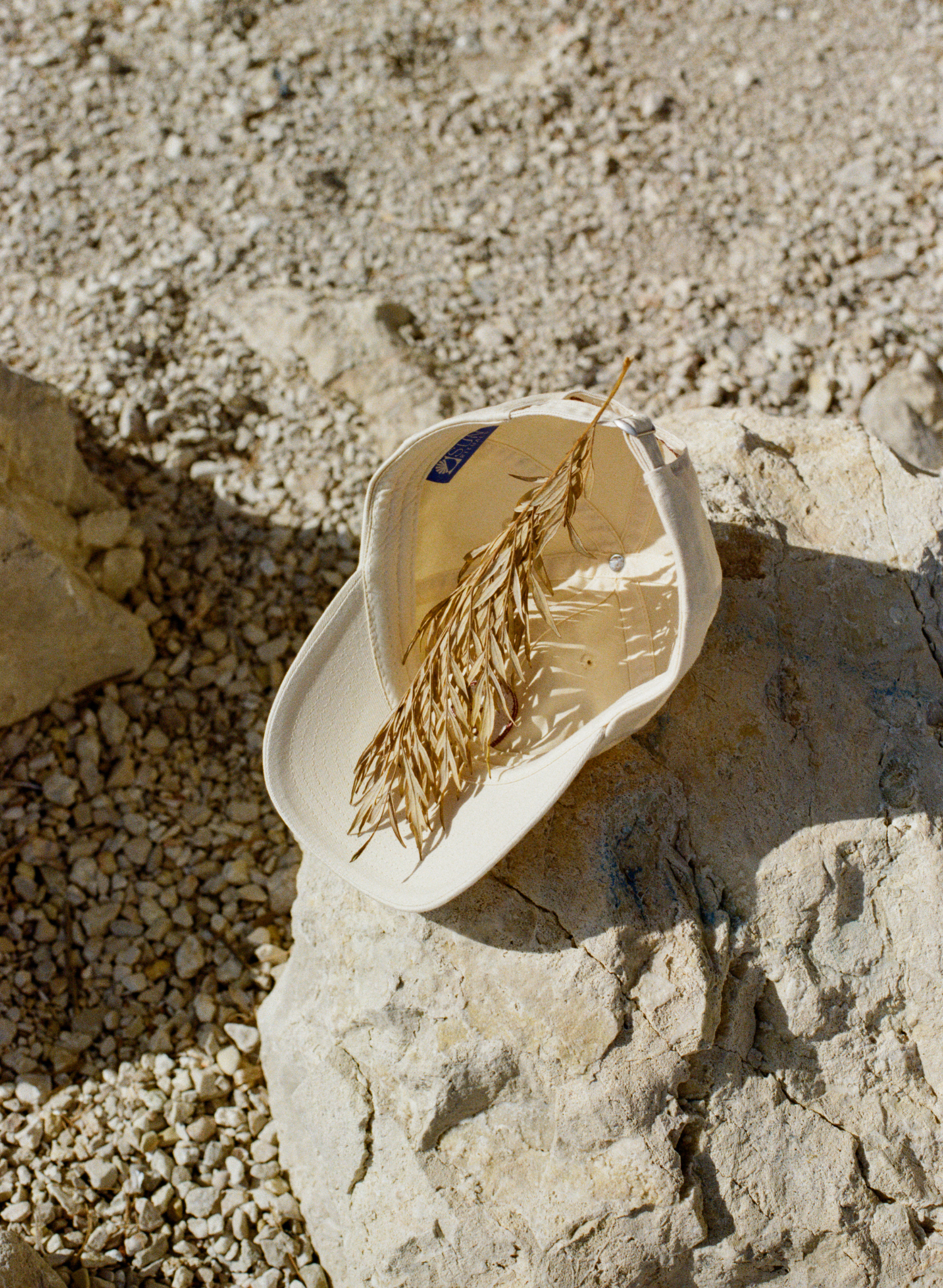 Balance Cap - Biscuit