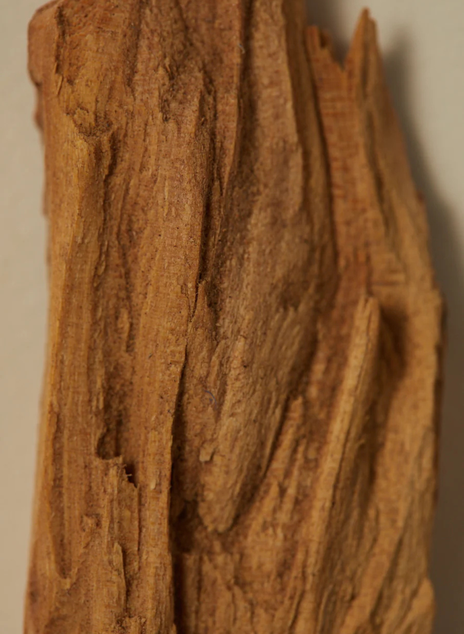 Black Musk Scented Oil | 30ml