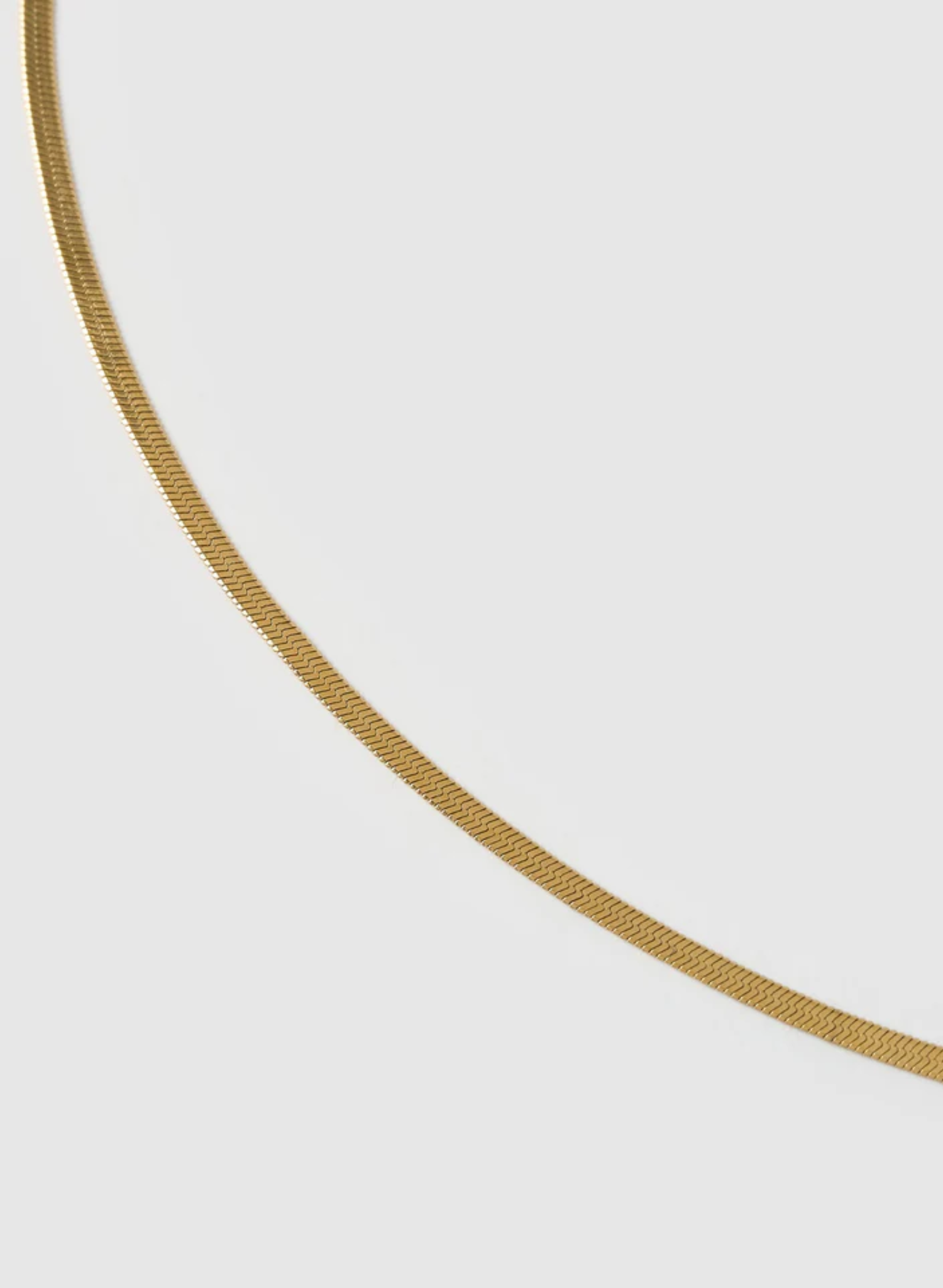 Shayla Gold Snake Chain Necklace