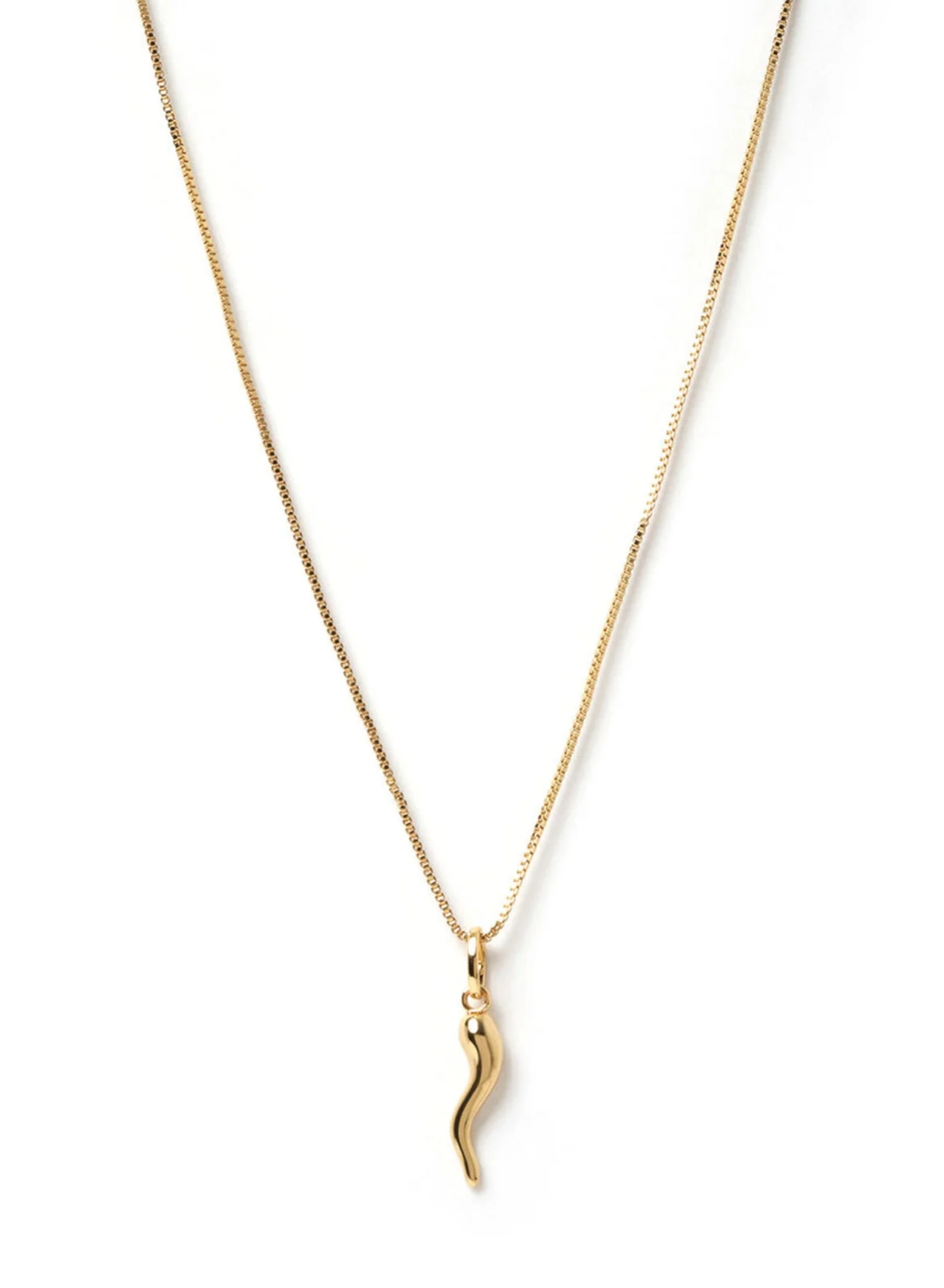 Cornicello Gold Charm Necklace