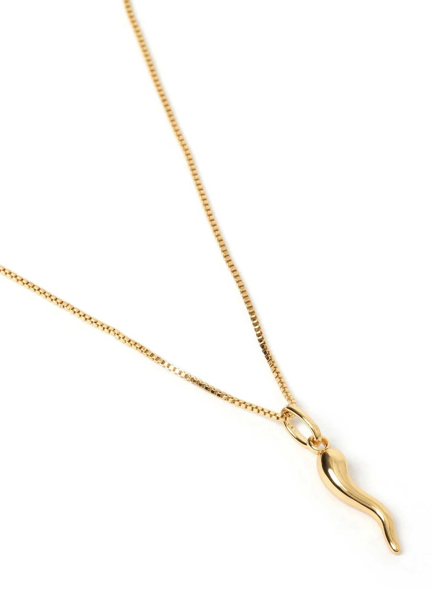 Cornicello Gold Charm Necklace