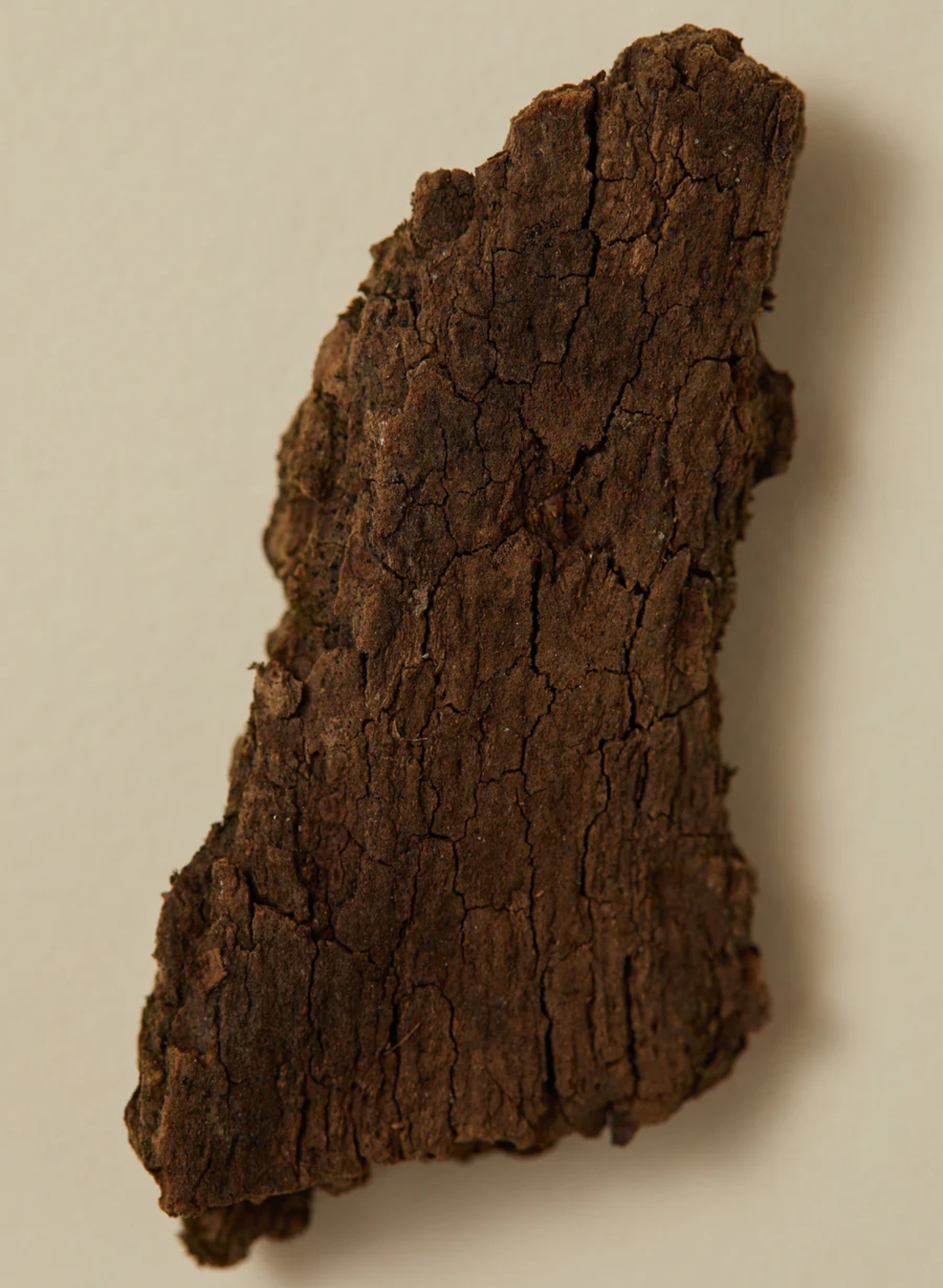 Black Musk Scented Oil | 30ml